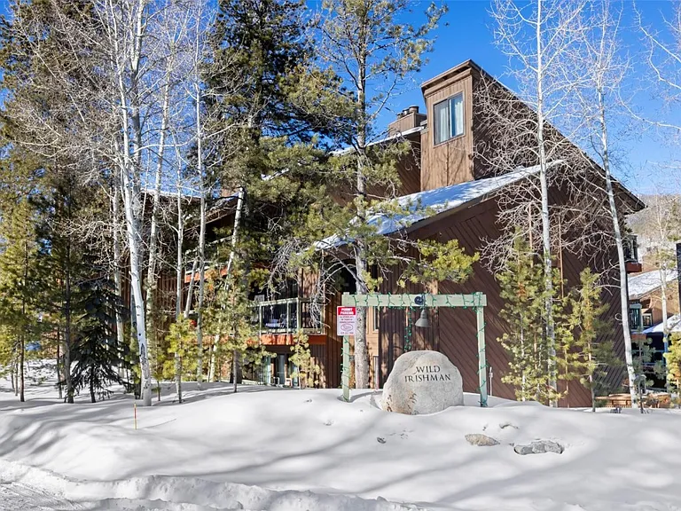 423 Wild Irishman Rd #1007 — Photo 1
