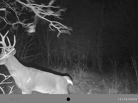 2nd image of 1150 NE 95th Rd