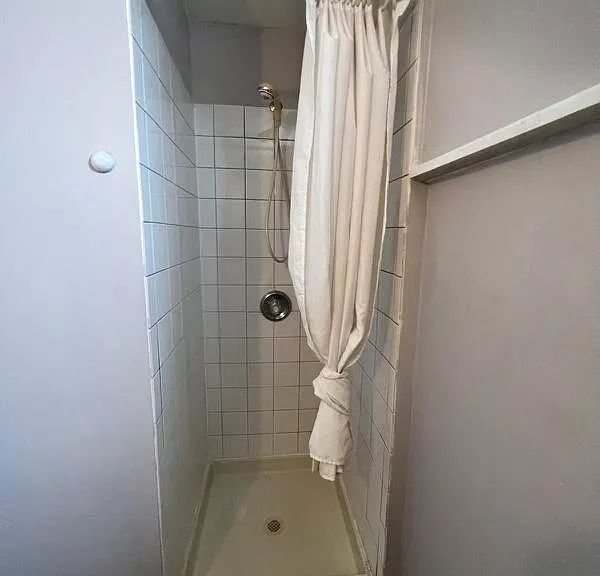 1129 S Kingshighway Blvd — Photo 6