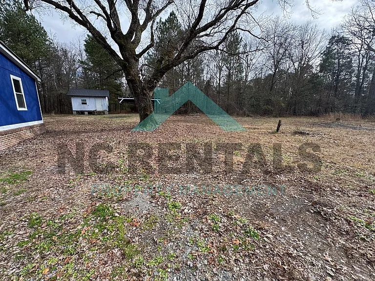 919 Clarence McKeithan Rd — Photo 1