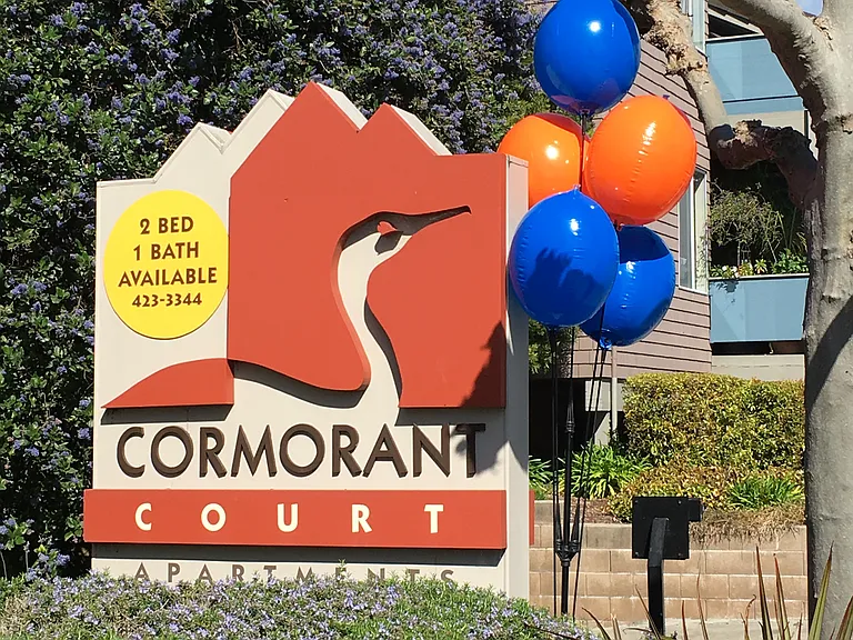 Cormorant Court Apartments — Photo 13