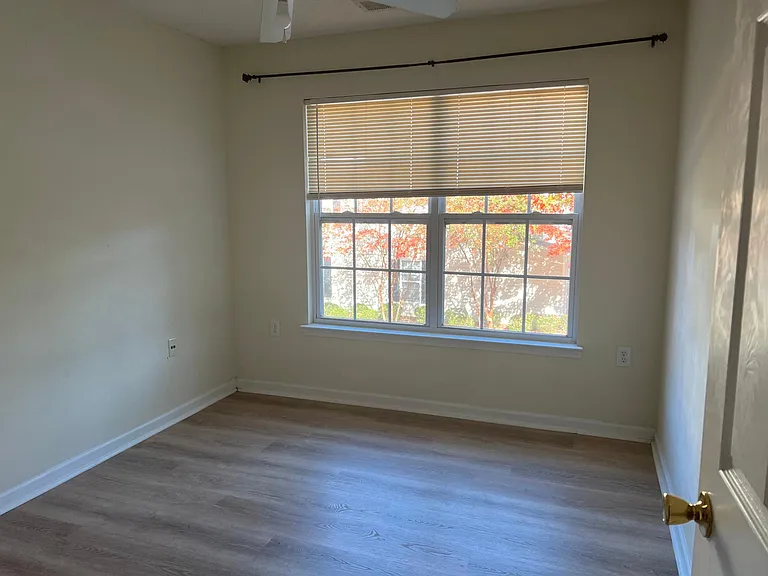 206 Hosta Lily Ct — Photo 3