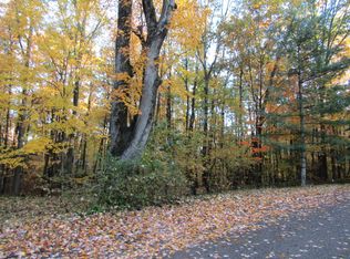 11180 Birwood Dr, Stanwood, MI 49346