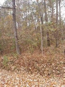 LOT 206 Prices Bridge Ln, Walterboro, SC, 29488