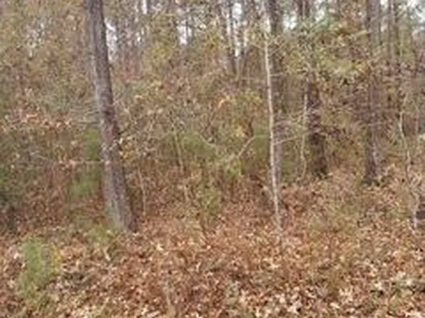 LOT 206 Prices Bridge Ln, Walterboro, SC 29488