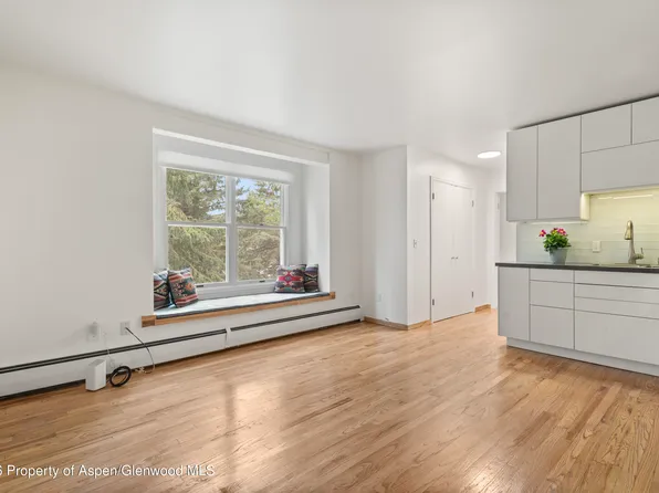 415 Pacific Ave #C, Aspen, CO 81611