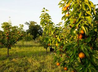 1746 County Road 114, Eureka Springs, AR 72632