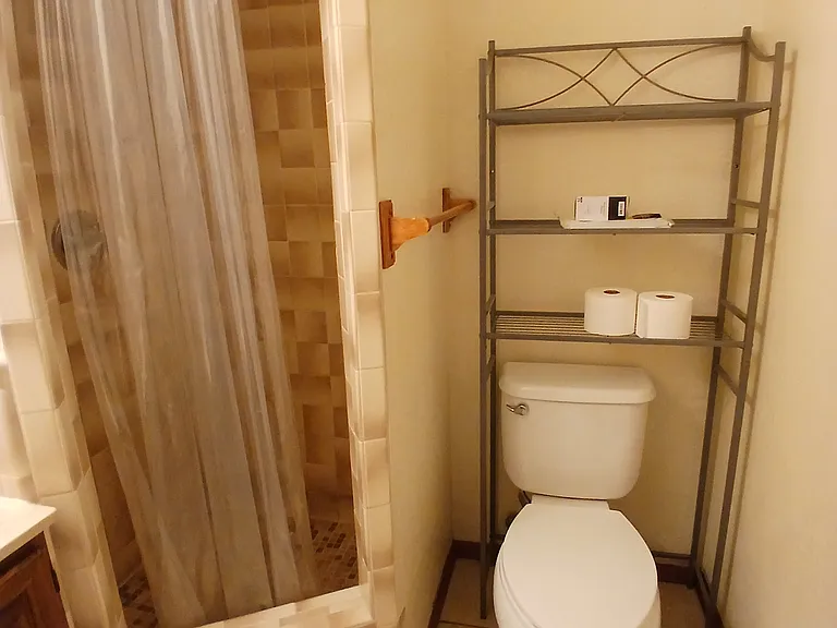 928 W Lindsey St — Photo 12
