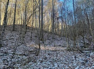 0 Clear Branch Rd, Flag Pond, TN 37657