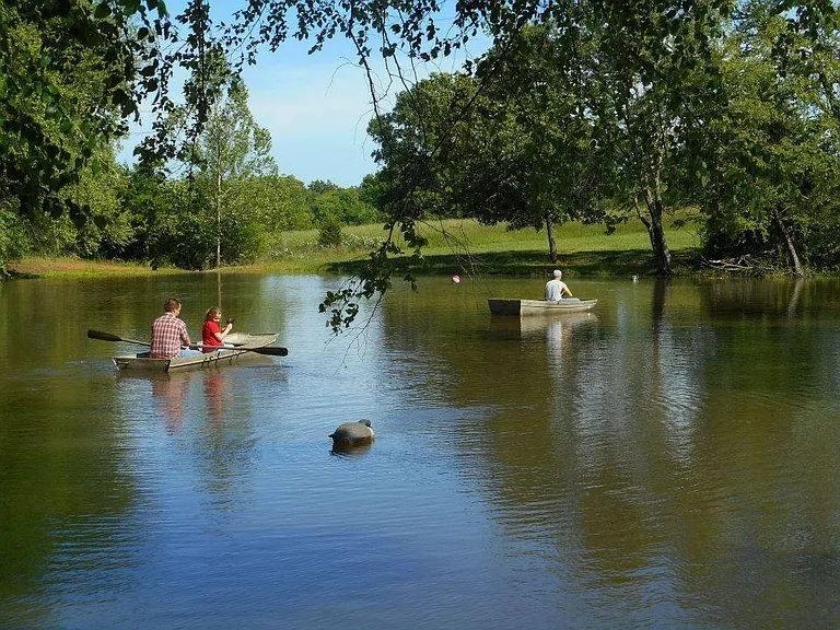 Pond for your enjoyment