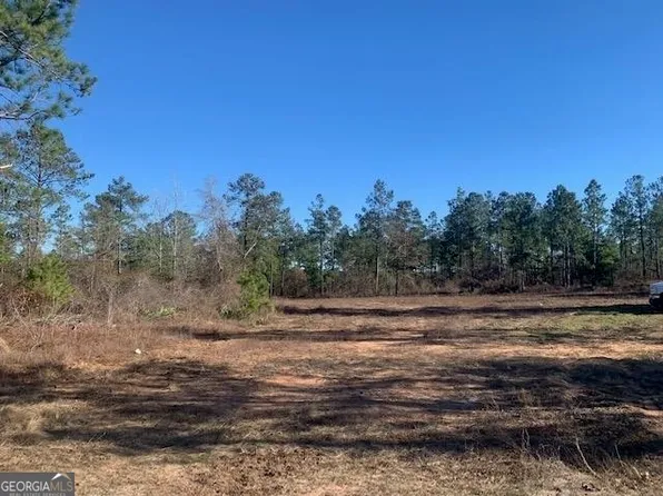 0 Buena Vista Hwy, Mauk, GA 31058