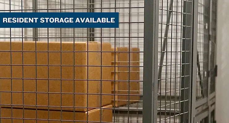 Rented by Greystar | media 37