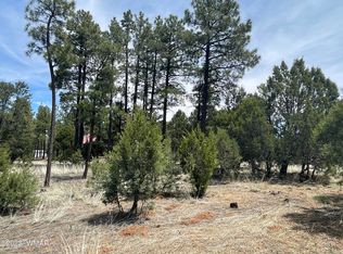 2218 Forest Park Dr, Overgaard, AZ 85933