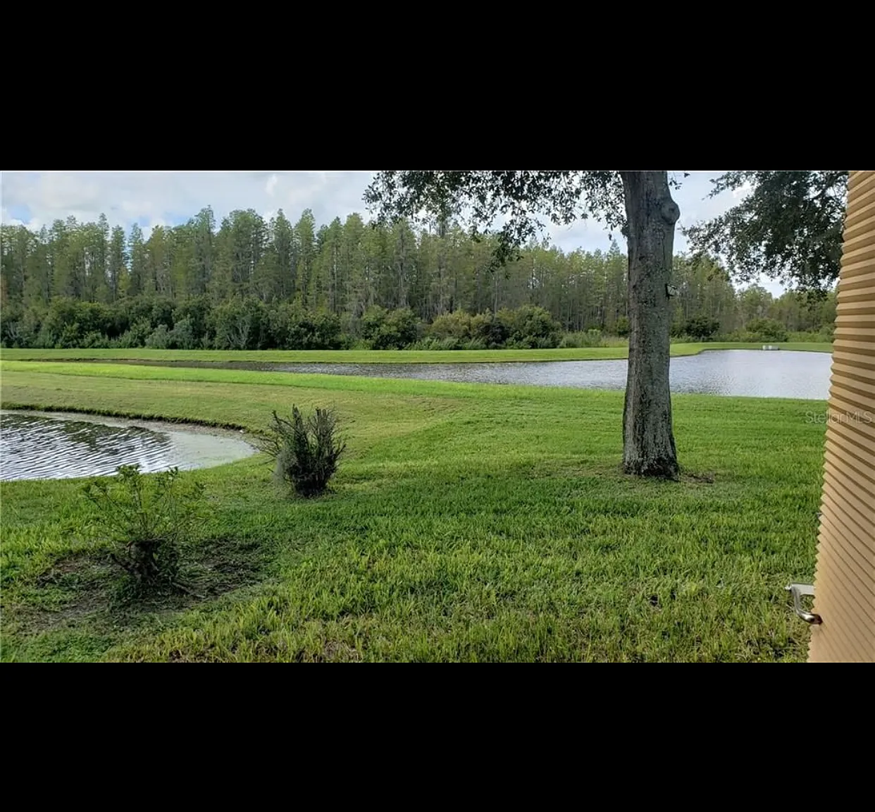 19234 Weymouth Dr — Photo 1