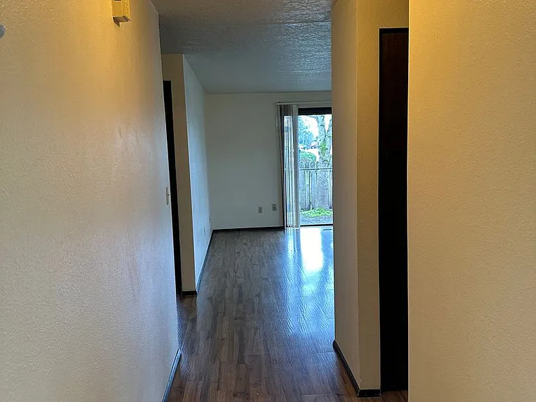 427-4204-6 Evergreen — Photo 12