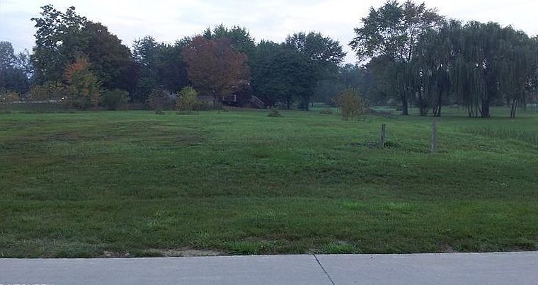 Trees Cleared. Level Site