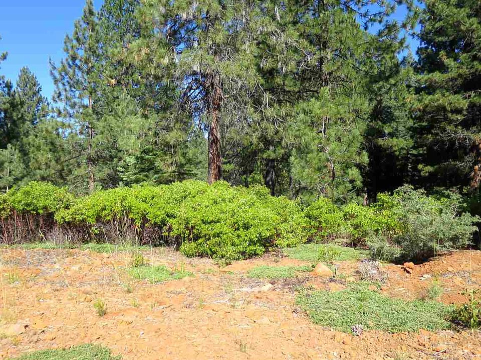 2nd image of 510 Bailey Creek Dr