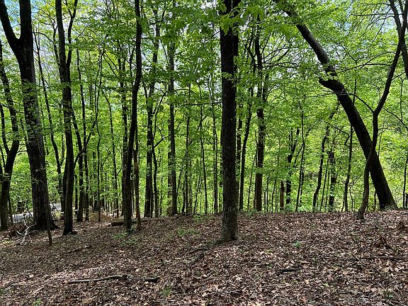 2nd image of 0 Valley View Dr