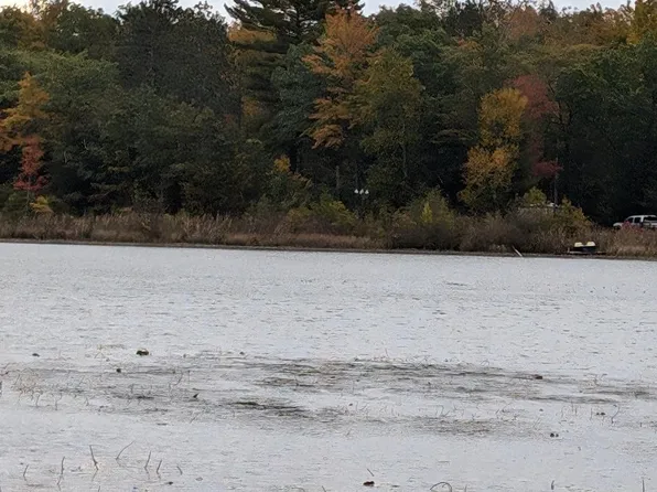 0 W Cedar Lake Rd, Greenbush, MI 48738