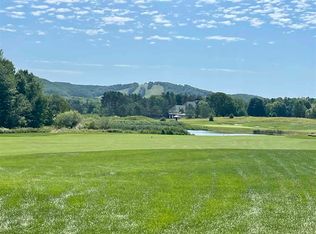 4135 Arthur Hills Dr, Harbor Springs, MI 49740