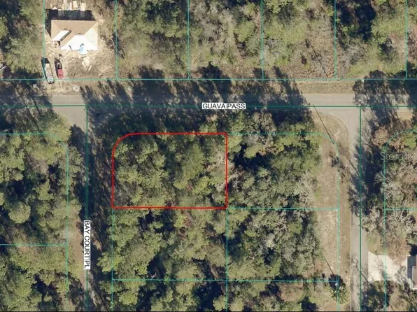 00 GUAVA PASS LOT 1, OCKLAWAHA, FL 32179