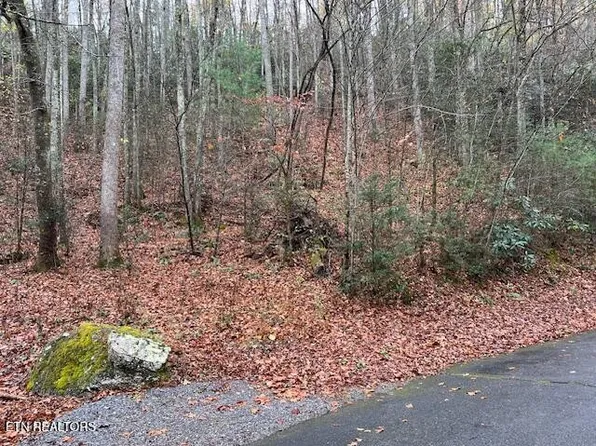 0 Big Buck Trl Lot 1, Townsend, TN 37882