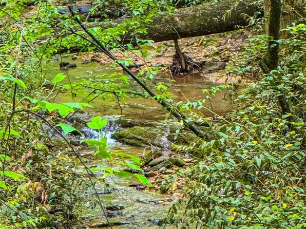 30 Cavender Creek Rd #C, Dahlonega, GA 30533