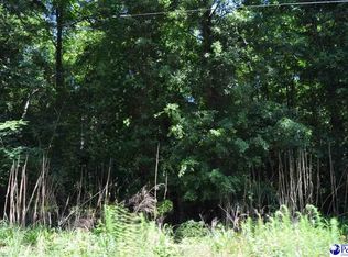 LOT 3 E Branchwood Rd, Clio, SC 29525