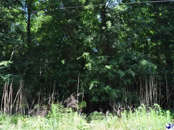 LOT 3 E Branchwood Rd, Clio, SC 29525