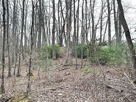 5th image of Tbd Old Hall Ridge Rd