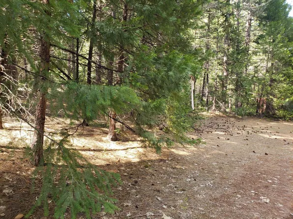 171 Brush Creek Ln, Trinity Center, CA 96091