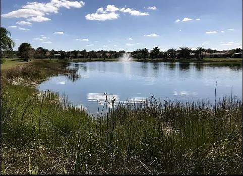 Lake view from back yard