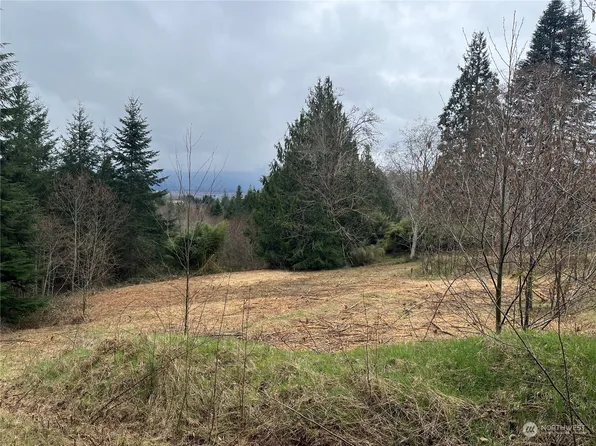 56 Fern Hill Road Lot 2, Cathlamet, WA 98612