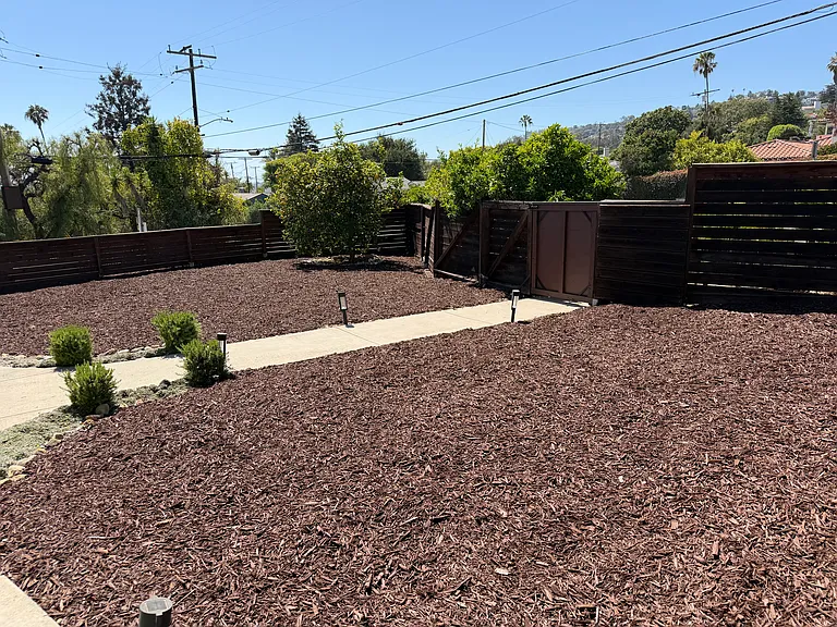 Huge Front Fenced yard with lots of Fruit Trees