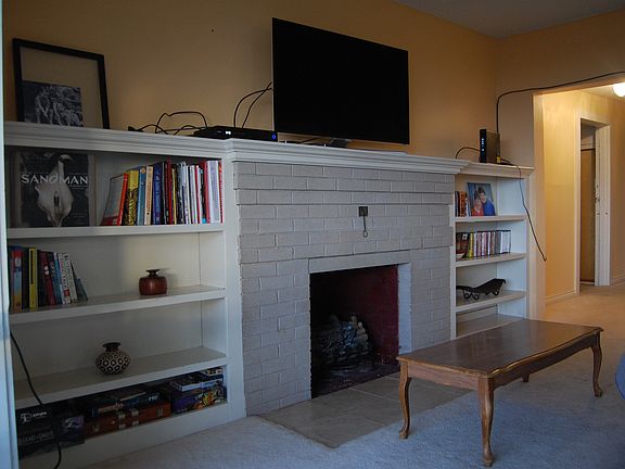 Wood burning fireplace