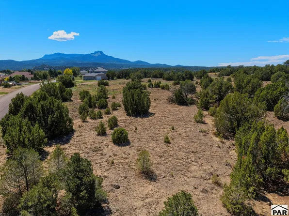 7 Tyson Ct, Trinidad, CO 81082