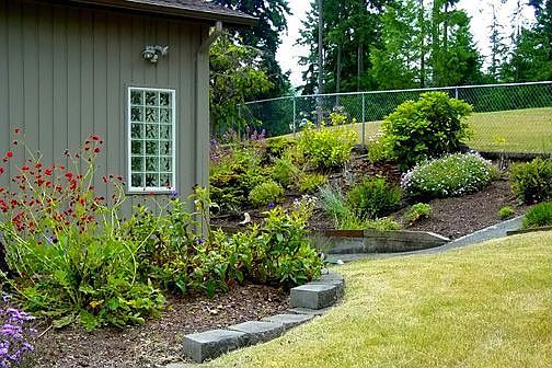 Fenced sideyard and back garden patio