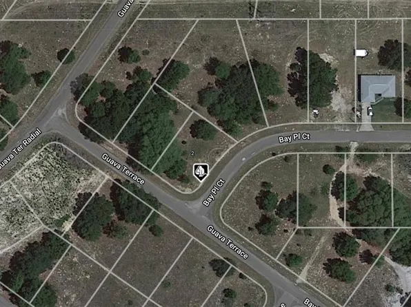 0 Bay Place Ct #4, Ocklawaha, FL 32179