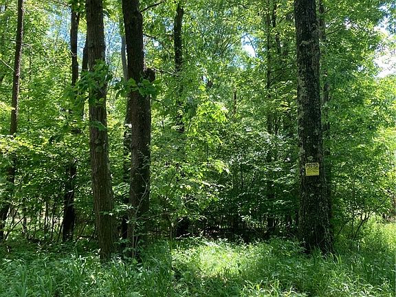 3rd image of 0 Sandy Run Rd