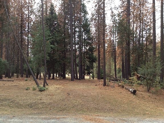 5th image of Sugar Pine Dr #003-030-01