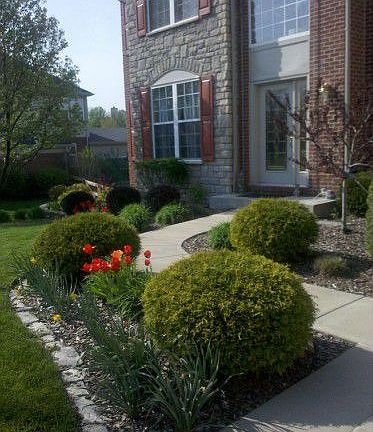 2nd image of 10042 Cedarwood Dr