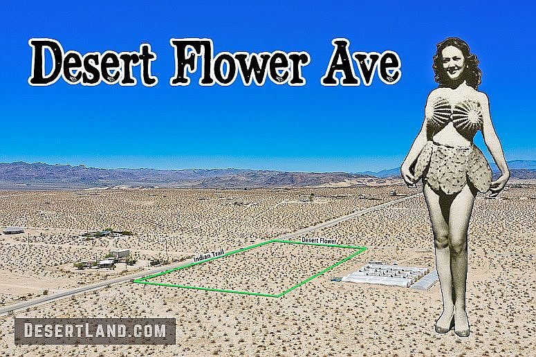 1st image of Desert Flower Avenue Valle Vis