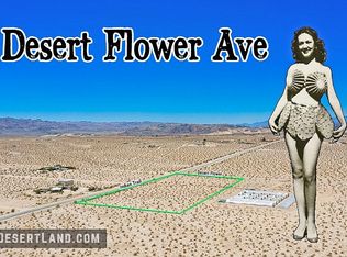 Desert Flower Avenue Valle Vis, Twentynine Palms, CA 92277