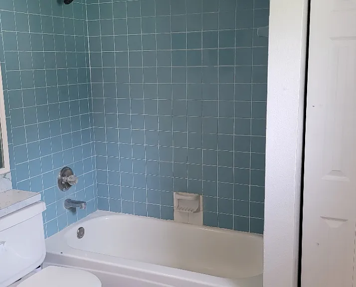 Primary Bathroom 1
