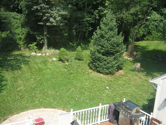 View into Backyard