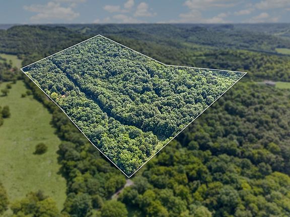 2nd image of 384 Huff Hollow Rd