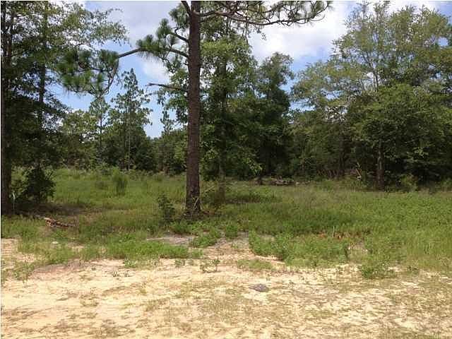 2nd image of 291 Woodlawn Cir