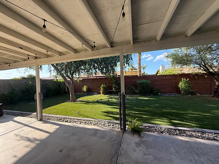 Backyard