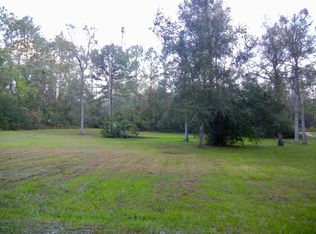 89 Mandrake St, Middleburg, FL 32068