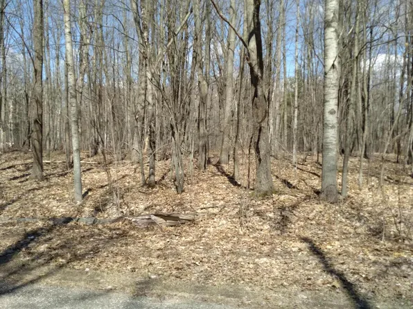 LOT 69 Louise Dr, Elmira, MI 49730